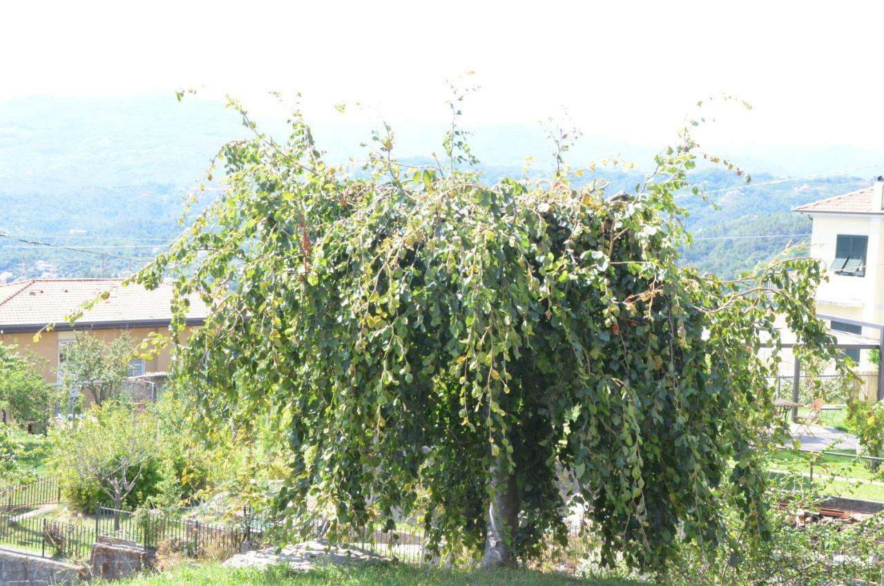 Apartamento La Casa Con Vista Di Emma Vezzano Ligure Exterior foto